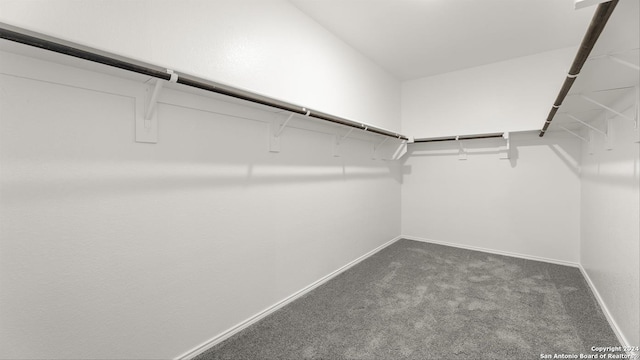 spacious closet featuring dark carpet