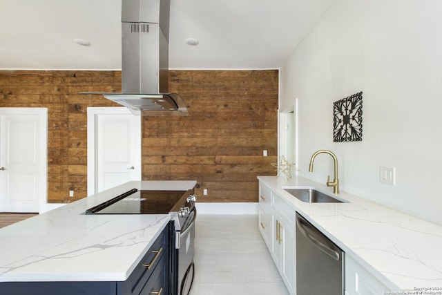 kitchen with range hood, sink, wooden walls, and stainless steel appliances