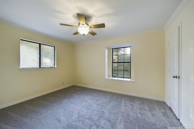 empty room with carpet flooring, ceiling fan, and ornamental molding