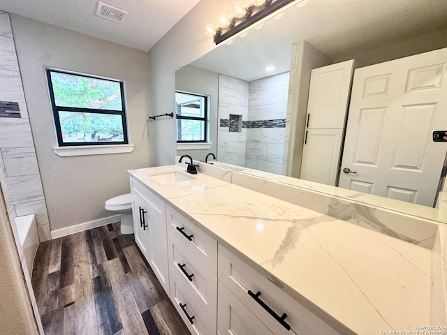 bathroom featuring hardwood / wood-style floors, vanity, and toilet