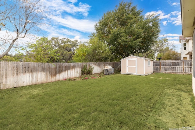 view of yard featuring a storage shed