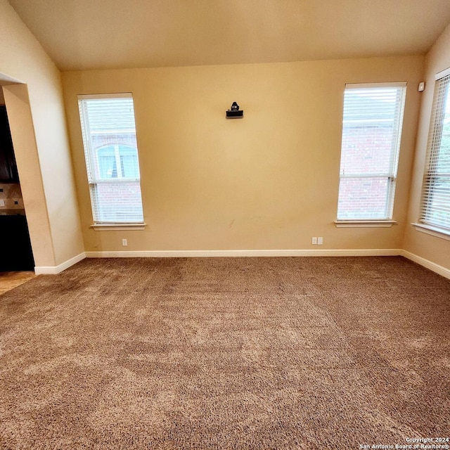 carpeted empty room featuring a wealth of natural light