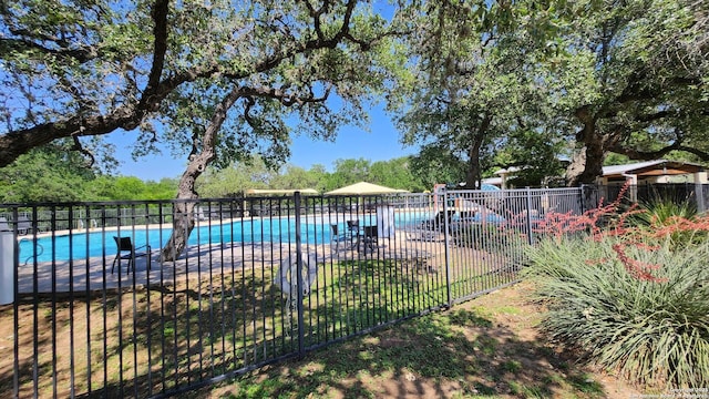 12234 Chambers Cv, San Antonio, TX 78253 - pool featuring fence