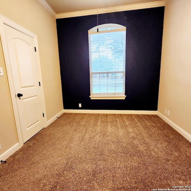 unfurnished room with carpet floors and crown molding