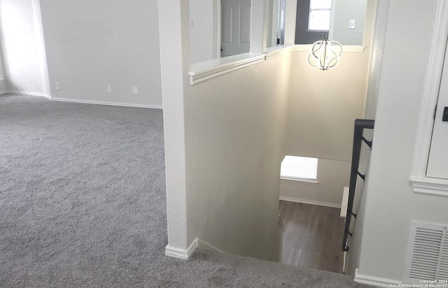 staircase featuring carpet floors