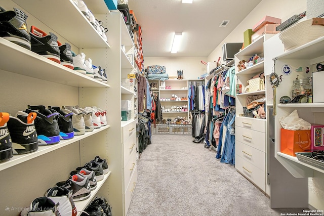 spacious closet featuring light carpet