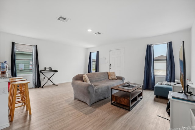 living room featuring light hardwood / wood-style flooring