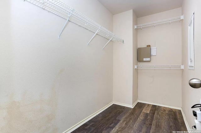 spacious closet with dark hardwood / wood-style floors