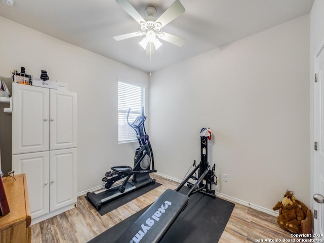 exercise area featuring light hardwood / wood-style floors and ceiling fan