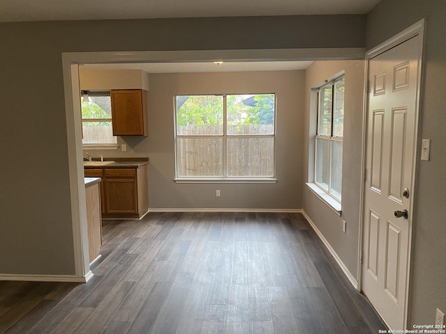 unfurnished dining area with dark hardwood / wood-style flooring, sink, and a wealth of natural light