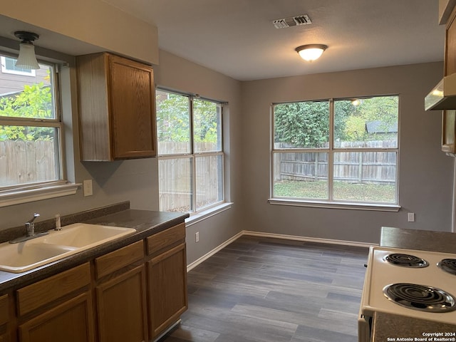 kitchen with sink, dark hardwood / wood-style floors, and white electric stove