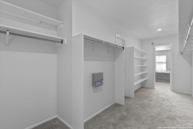 spacious closet with light colored carpet