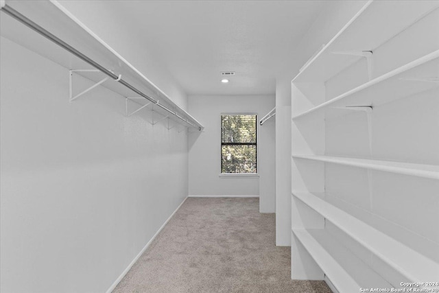 walk in closet with light colored carpet