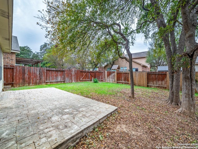 view of yard featuring a patio area