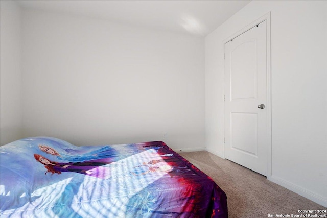 bedroom featuring carpet