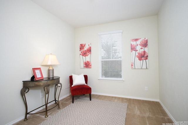 sitting room with light colored carpet