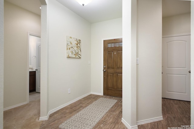 foyer featuring wood-type flooring