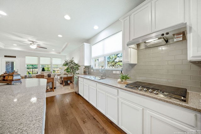 kitchen with stainless steel appliances, a tray ceiling, dark hardwood / wood-style flooring, white cabinetry, and sink