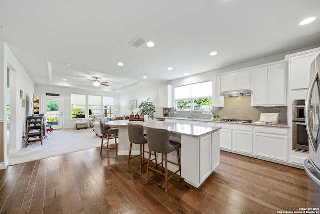 kitchen featuring white cabinets, a center island, a tray ceiling, and hardwood / wood-style flooring