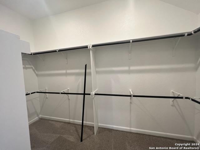 walk in closet with dark carpet