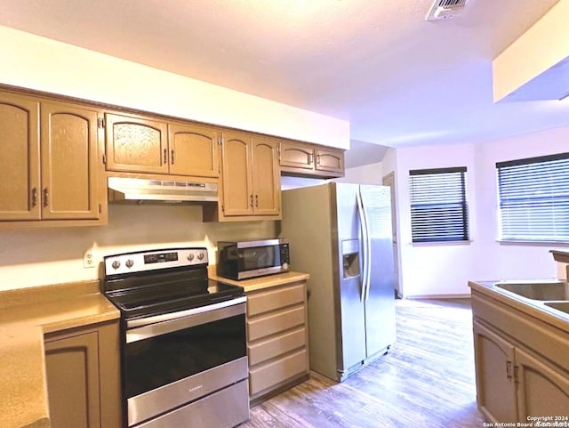 kitchen with sink, light hardwood / wood-style floors, and appliances with stainless steel finishes