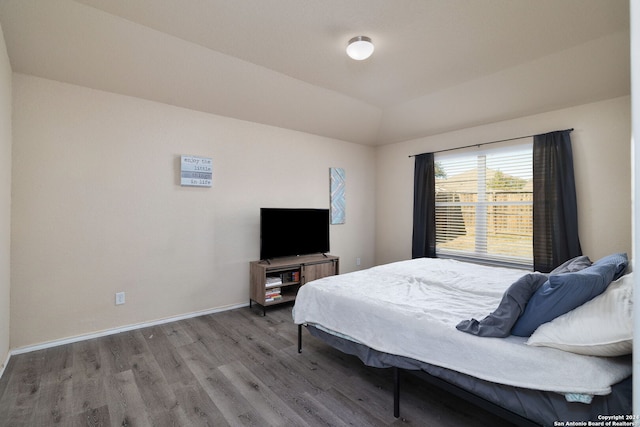 bedroom with wood-type flooring