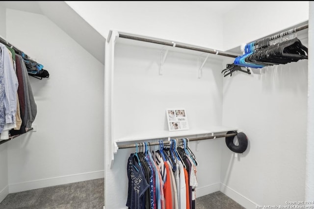 spacious closet featuring carpet flooring