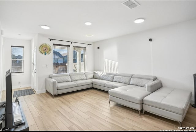 living room with light wood-type flooring