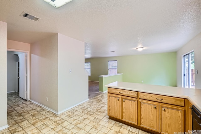 kitchen with black dishwasher and a textured ceiling