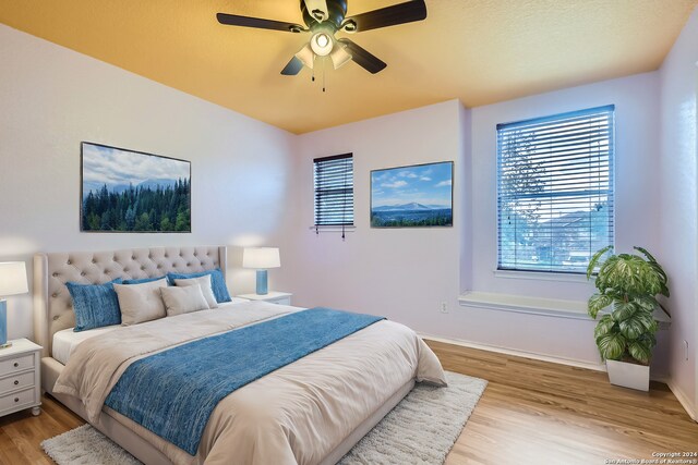 4735 Brook N, San Antonio, TX 78238 - bedroom with wood finished floors, multiple windows, and baseboards