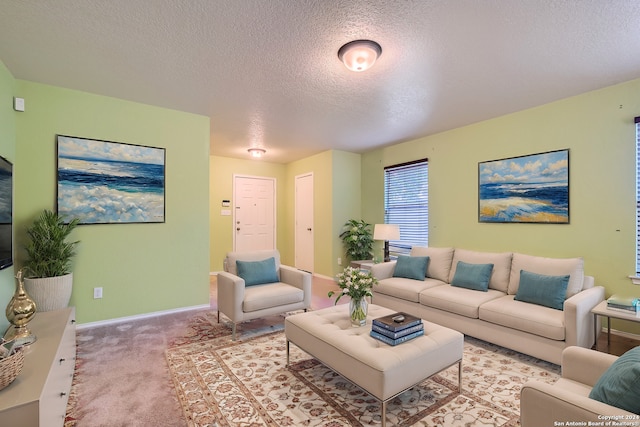 carpeted living room with a textured ceiling