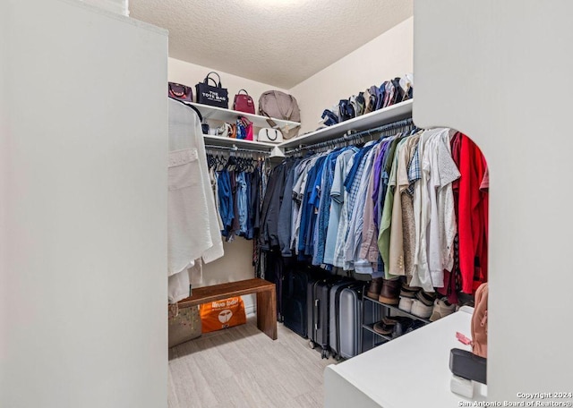 spacious closet with hardwood / wood-style flooring