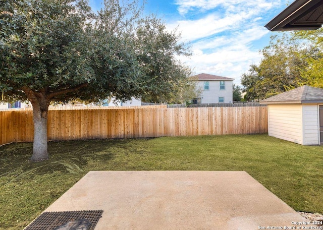 view of yard with a patio and a storage shed