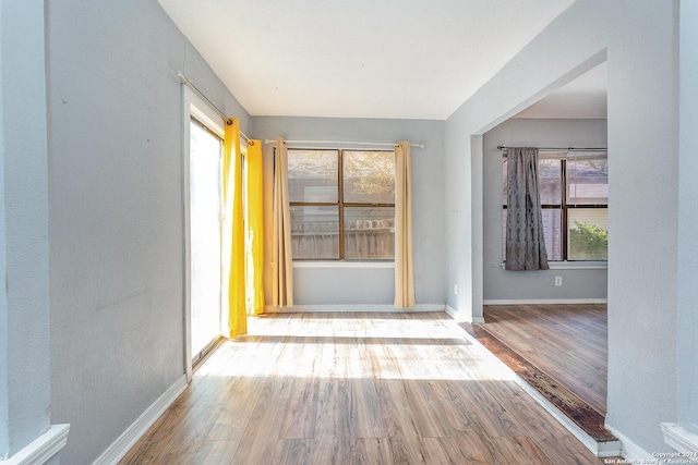 interior space with wood-type flooring