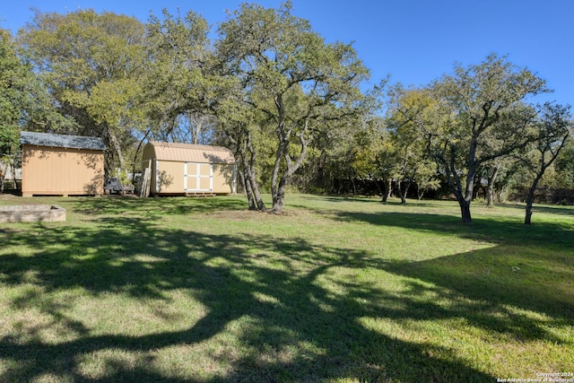 view of yard with a storage shed