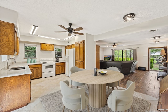 kitchen featuring ceiling fan, sink, light hardwood / wood-style flooring, a textured ceiling, and white appliances