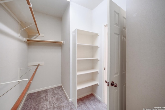 spacious closet featuring light colored carpet