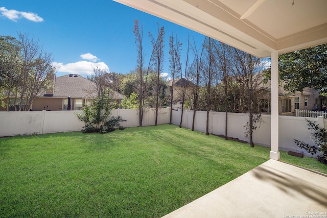 view of yard featuring a patio area