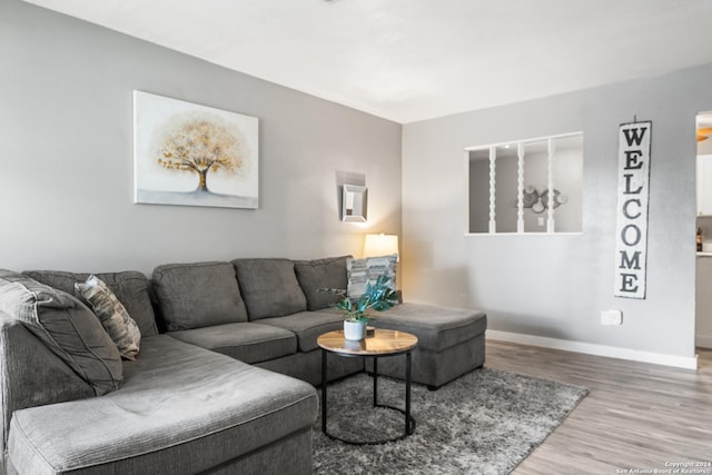 living room with wood-type flooring