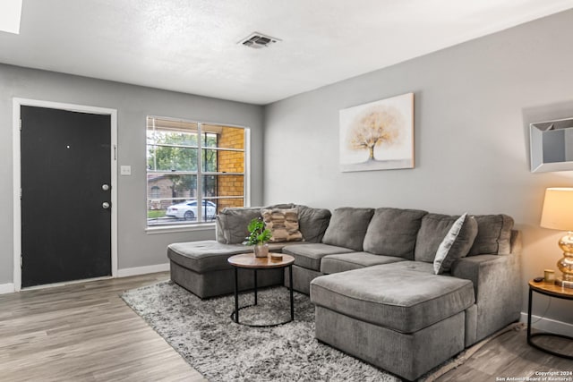 living room featuring hardwood / wood-style floors and a textured ceiling