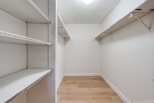 walk in closet with hardwood / wood-style flooring