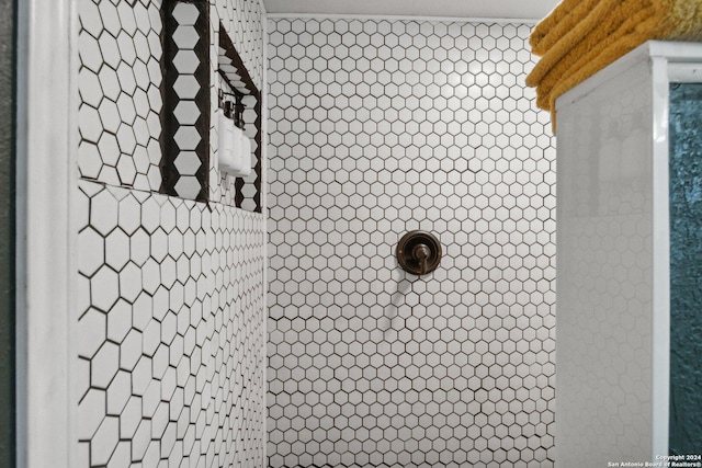 room details featuring tiled shower