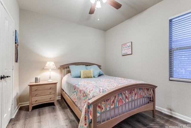 bedroom with multiple windows, a closet, dark hardwood / wood-style floors, and ceiling fan