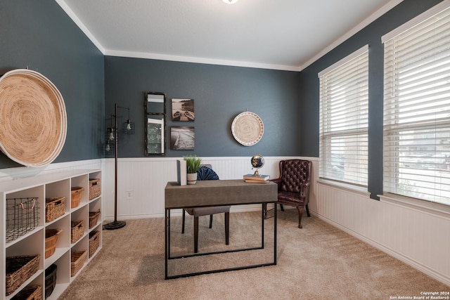 office area featuring carpet flooring, ornamental molding, and wood walls