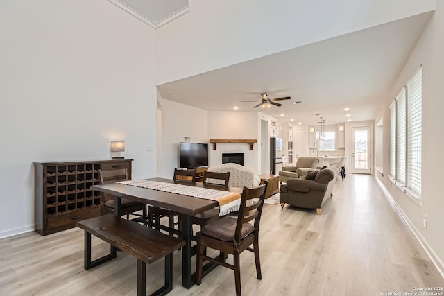 dining room featuring ceiling fan and light hardwood / wood-style flooring