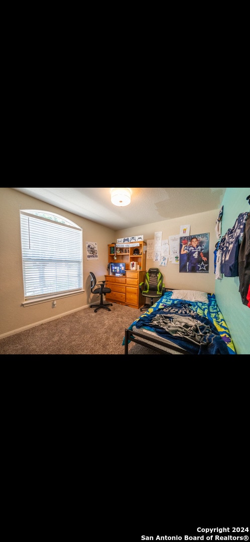 view of carpeted bedroom