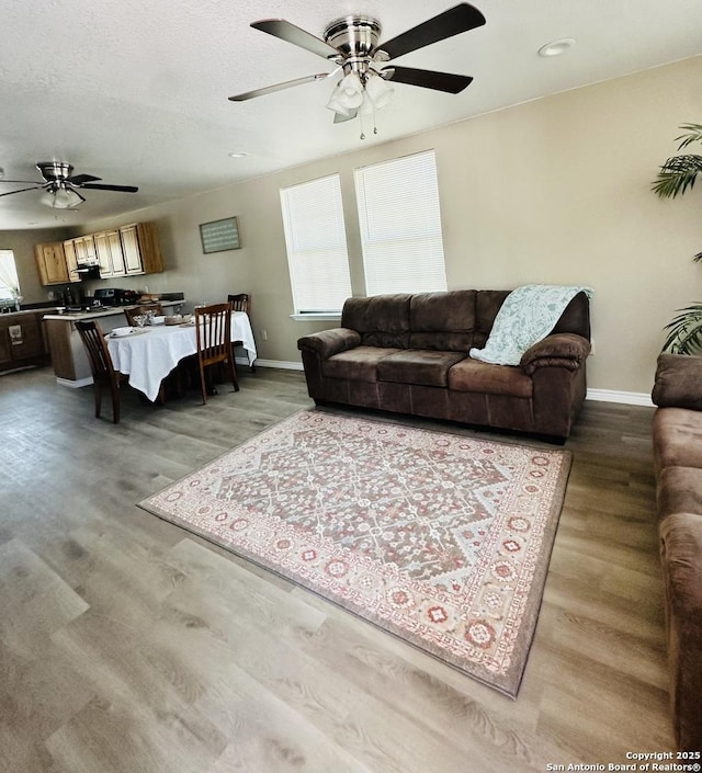 221 Chaparral St, Uvalde, TX 78801 - living room with ceiling fan, wood finished floors, and recessed lighting