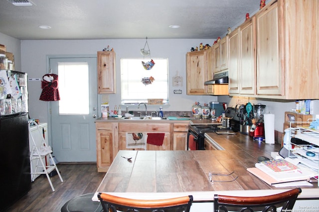 kitchen with black fridge, light brown cabinets, dark hardwood / wood-style floors, and sink