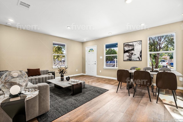 living room featuring hardwood / wood-style floors and a healthy amount of sunlight