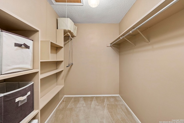 spacious closet featuring light carpet